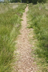 Feldweg aus Rindenmulch