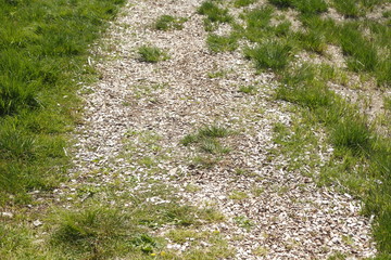 Feldweg aus Rindenmulch
