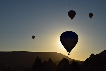 Hot air balloon