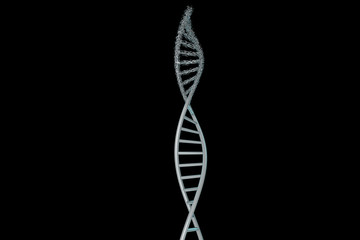 3d modeling, DNA modeling