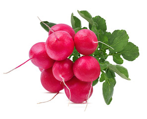 Fresh red radish isolated on white background with clipping path