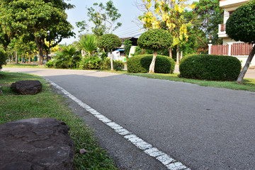 The road for walker or runner exercises in public park. There is suitable environment for healthy people.