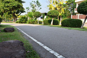 Obraz premium The road for walker or runner exercises in public park. There is suitable environment for healthy people.