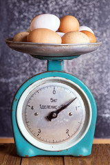 retro scales and eggs