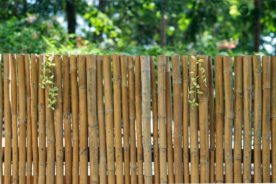 Bamboo wall with blurry background