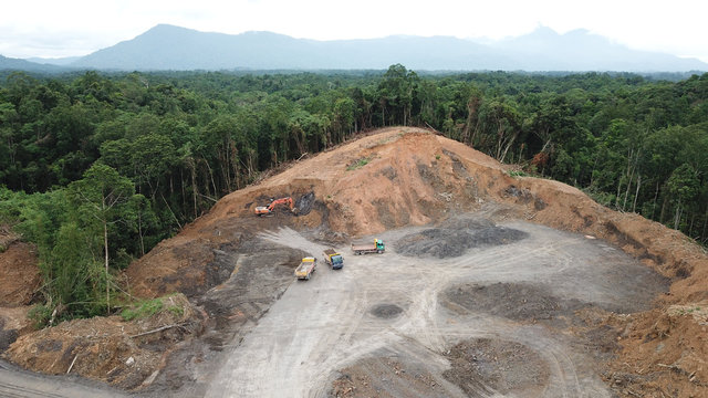 Deforestation. Logging of rainforest in Borneo, Malaysia