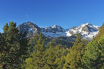 Fototapeta premium Beautiful alpine landscape with blue sky, forest and snow-covered mountains. Oetztal Alps, Tirol, Austria.
