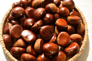 Chestnuts, autumn harvest