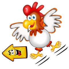 spot allevamento polli 2