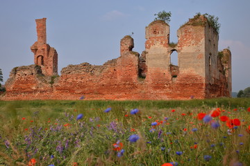 Fototapeta Malownicze ruiny średniowiecznego zamku na tle błękitnego nieba, na pierwszym planie, rozmyte, polne, kolorowe kwiaty, poruszane przez wiatr obraz