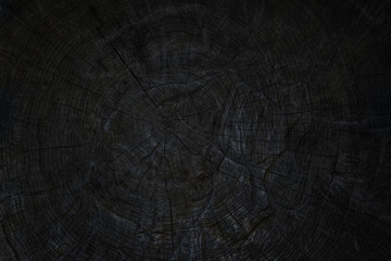 Old tree  trunk. Black texture of wood.