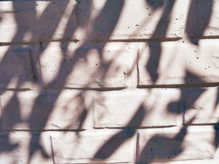 Texture of a light brick wall with shadows from trees