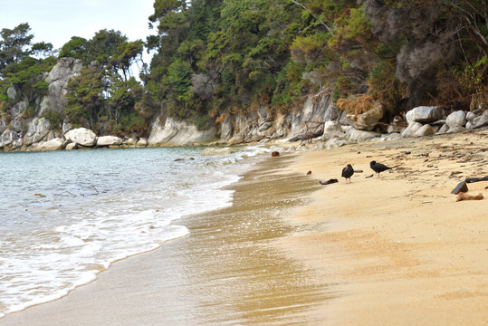 Akersten Bay, Strand einsame Insel