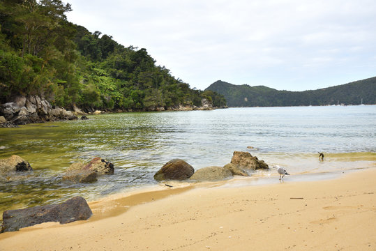 Abel-Tasman Images – Browse 33 Stock Photos, Vectors, and Video | Adobe ...