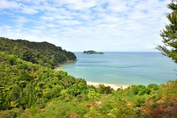 Fototapeta premium Abel-Tasman-Nationalpark Wald und Strand am Meer