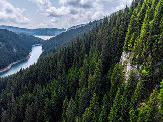 Big forest in Siberia Taiga. Summer forest. taiga siberia russia.  Landscape with forest mountains....