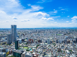 東京　住宅街が広がる都市風景