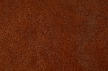 Natural leather background