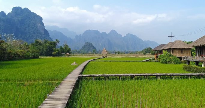 Wooden path and green rice field in Vang Vieng, Laos.
