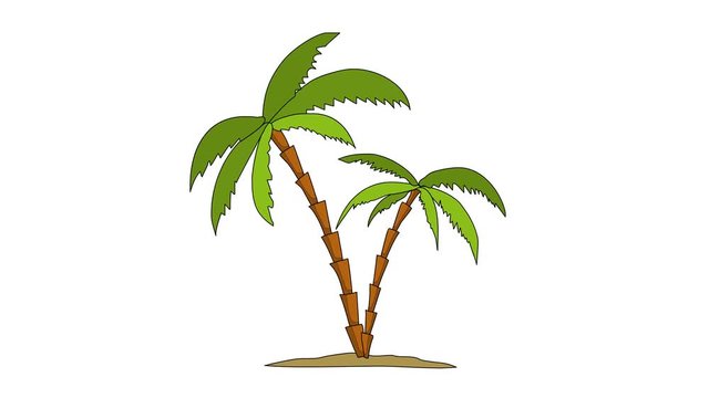 Hand drawn palm tree animation