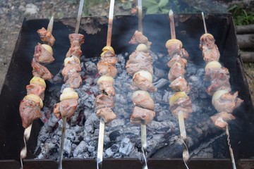 Barbecue Grilled pork kebabs