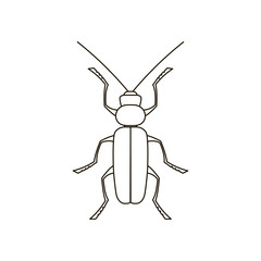 Vector black silhouette of a beetle