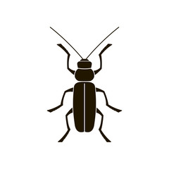 Vector black silhouette of a beetle