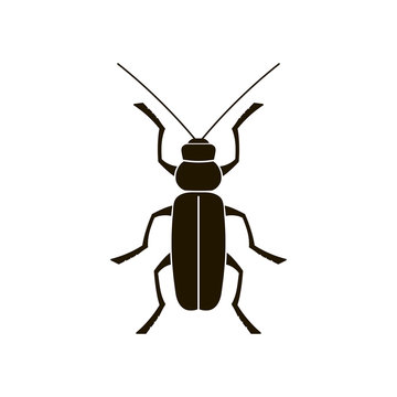 Vector black silhouette of a beetle