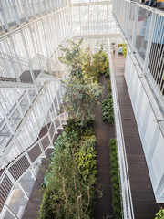 From above shot of huge glass interior building with stairs and levels and green trees growing below.
