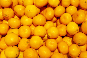 Mandarins Oranges Market Background