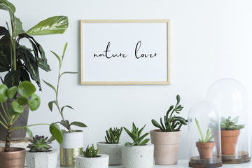 The stylish room filled with a lot of modern plants in different clay pots. Modern composition of...
