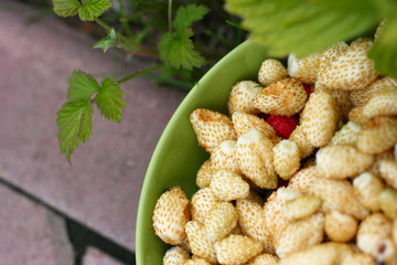 White juicy summer berries.