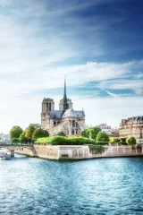Fotobehang Notre Dame van Parijs © adisa