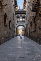 Fototapeta premium typical street in barcelona tourism