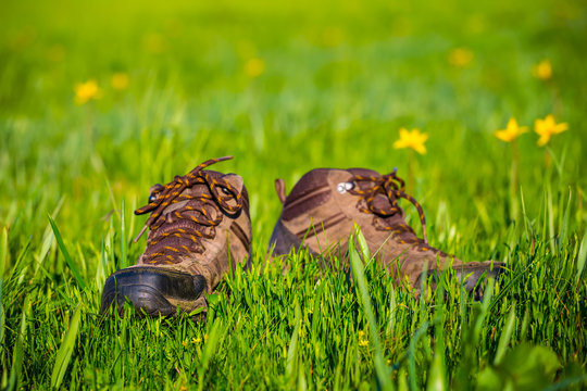 closeup old touristic boots among a green field with flowers