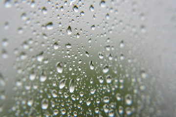 Fototapeta premium Drops of rain on the window