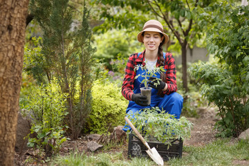 woman gardener holding seedling of tomato