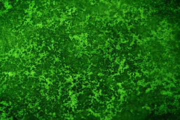 Fototapeta premium Green Texture Surface Background