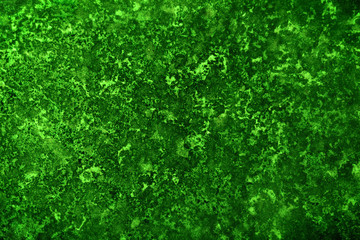 Green Texture Surface Background