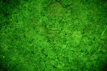 Green Texture Surface Background