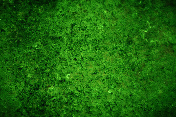 Green Texture Surface Background