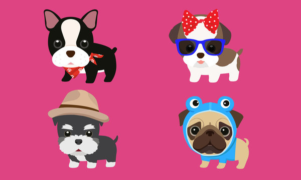 Cute puppy hat, bow tie, wearing glasses, fancy clothes, vector illustration