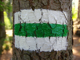 Oznaczenie zielonego górskiego szlaku na pniu drzewa w Karkonoszach