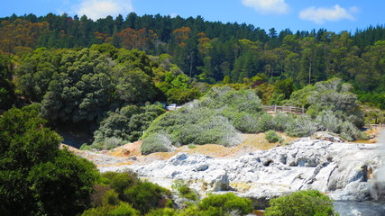 Geyser in Rotorua, New Zealand