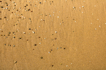 Sand with shells and stones