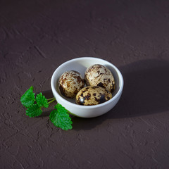 quail eggs on a dark background