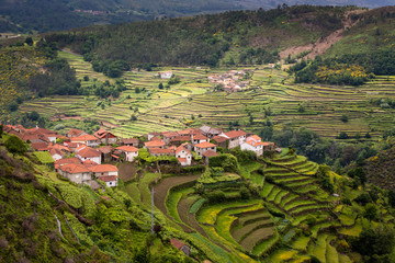 Aerial shot of the terrace fields at Sistelo, Portugal
