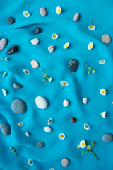 Summer blue background. Camomiles and pebbles