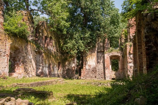 Schloss Putzar - Ulrichsbau - Ruine - Innenansicht