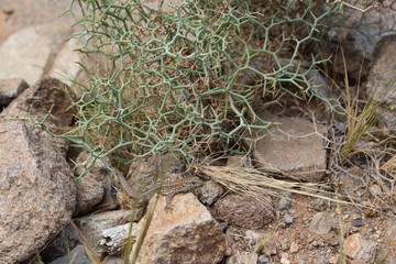 Fuerteventura Barranco de las Penitas